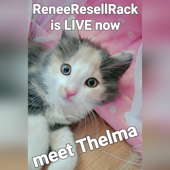 ReneeResellRack is LIVE@6 pm central💥$5 Unlisted NWT & preloved Women XS-3X - Picture 2 of 16